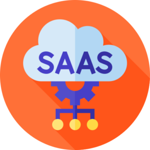SaaS-Consultation